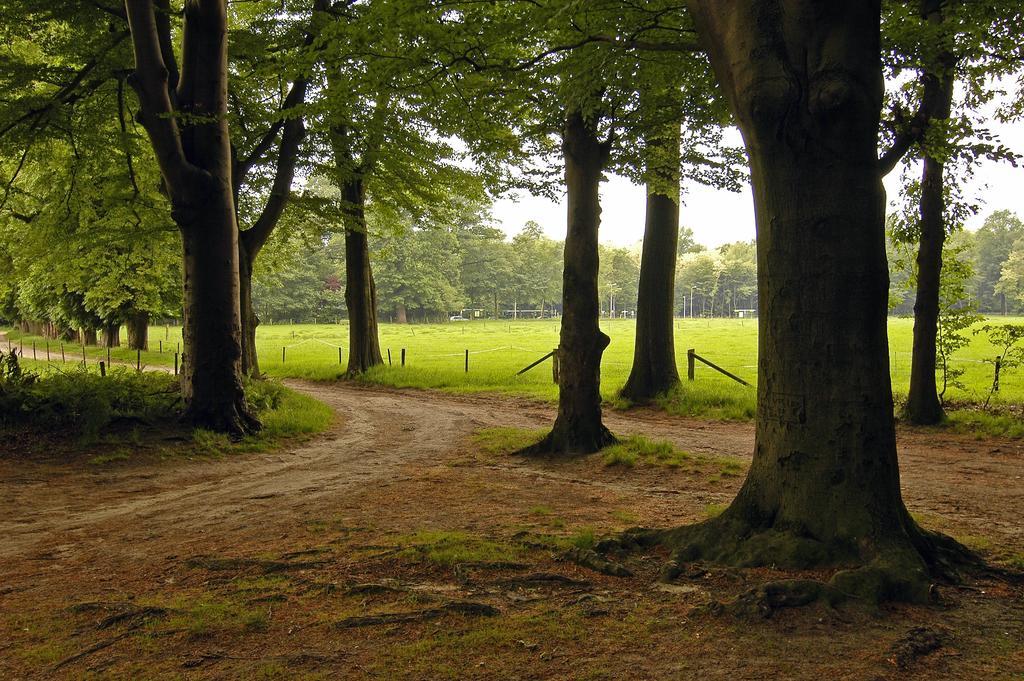 Hotel Landgoed Ehzerwold Almen Zewnętrze zdjęcie